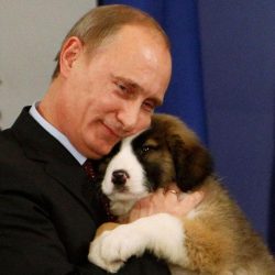 News On Topic 6cb48d490a76abca1c50bb2809430572-250x250 World Leaders and Their Pets Pets 