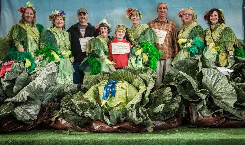 News On Topic giant-vegetable-3_slide-311c2ed4755721a66c540175d2ddd9939f251328-s800-c85-800x475 Giant vegetable competition in Alaska... Nature Stories 