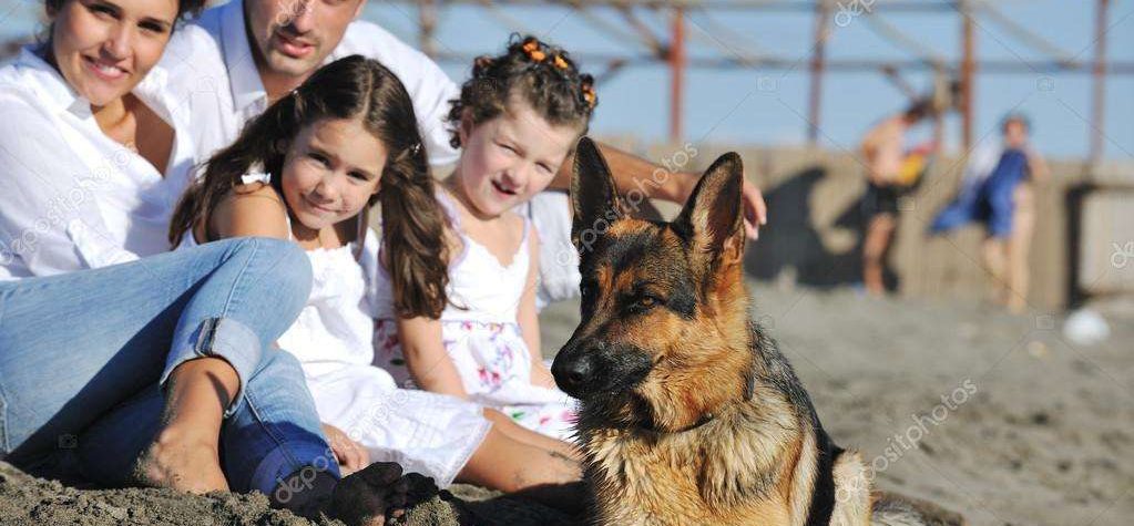 News On Topic depositphotos_4361853-stock-photo-happy-family-playing-with-dog-1023x475 Surprising Health Benefits of Owning a Dog Health Life Pets 